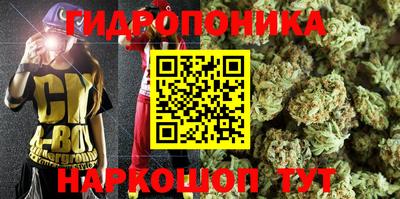 ГАЛЛЮЦИНОГЕННЫЕ ГРИБЫ Ставрополь