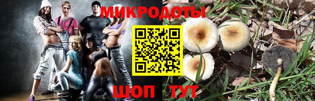 Галлюциногенные грибы GOLDEN TEACHER  хочу   Арсеньев  Вход с VPN  Псилоцибиновые грибы GOLDEN TEACHER 